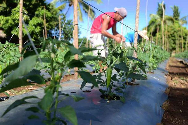 ASEMCO - Biliran's Fastest Growing Cooperative